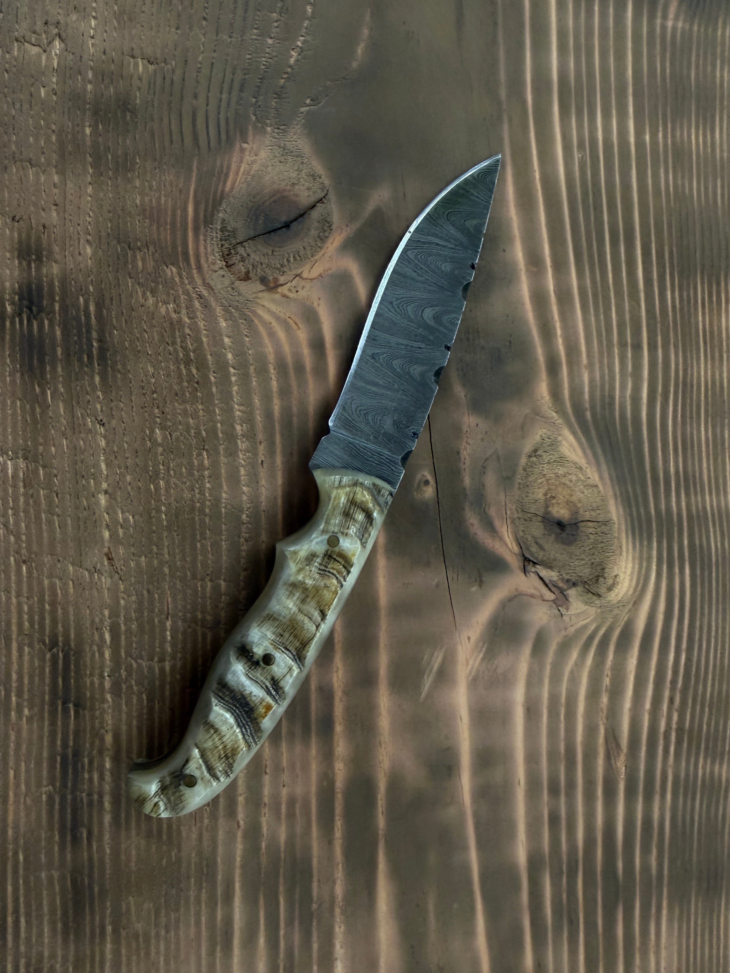 Circle SH Damascus 7.5" Blade Ram Horn Handle