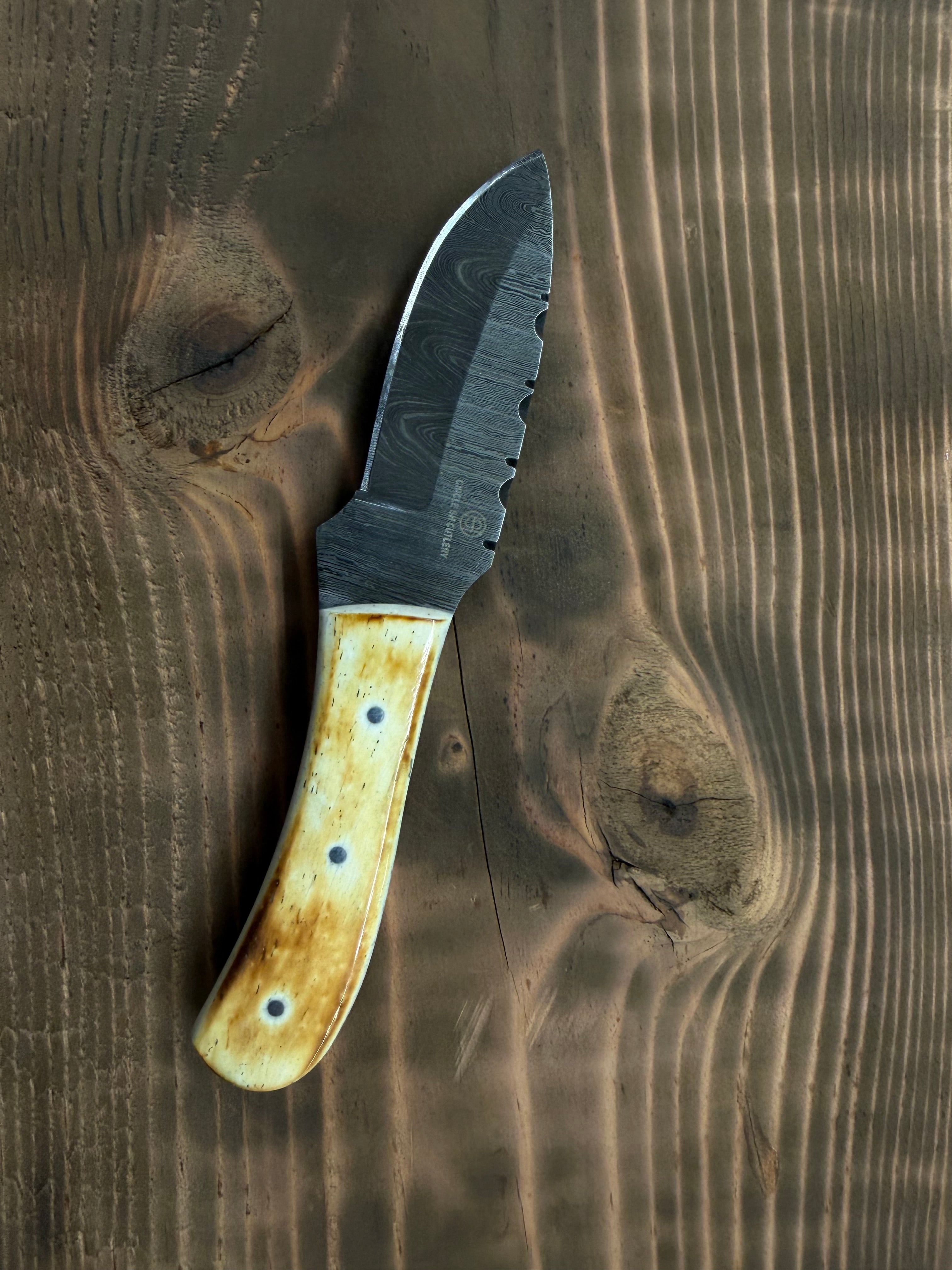 Circle SH Damascus 6" Burnt Bone Grip w/Sheath
