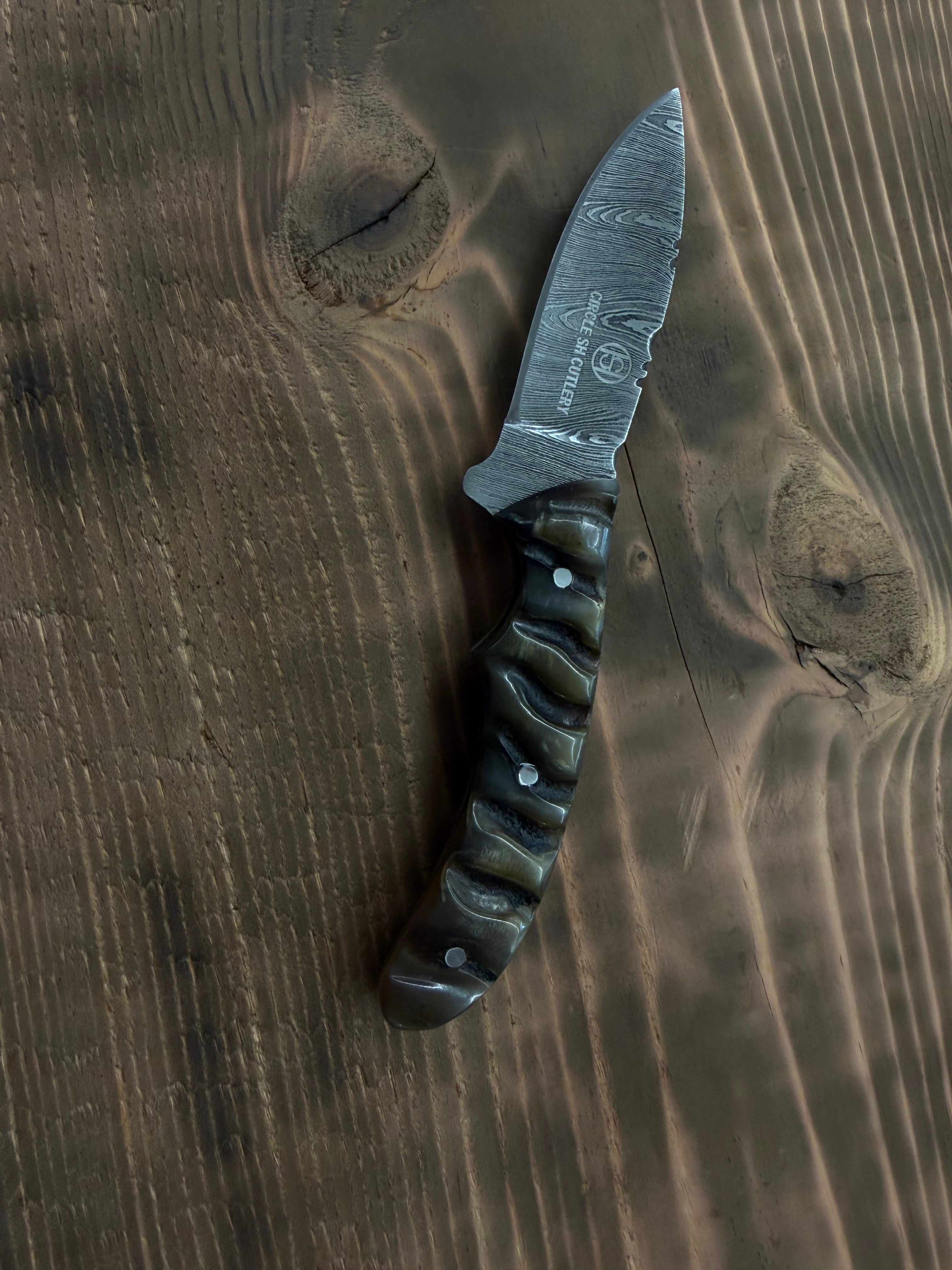 Circle SH Damascus 6 1/2" Straight Blade Ram Horn Handle