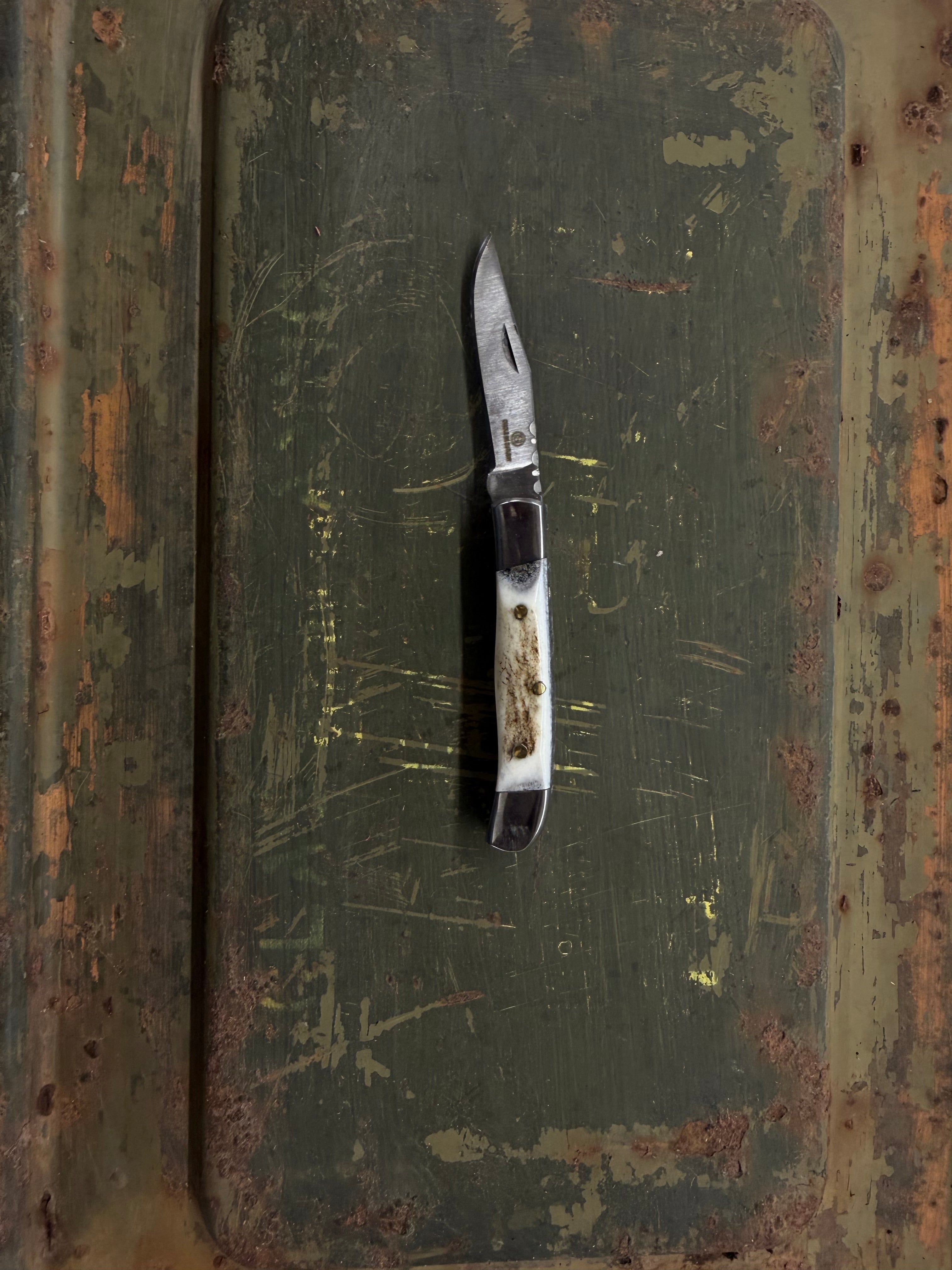Circle SH Knife 2 3/4" Stag Handle