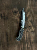 4" Closed Stag Horn SS Blade Folding Knife